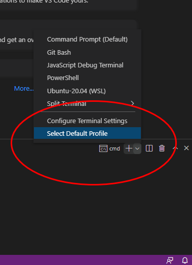 Visual Studio Code Default Terminal CS232 Software Engineering